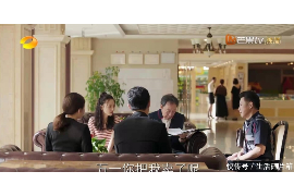 信貸催收公司營業(yè)執(zhí)照：合規(guī)經(jīng)營與風(fēng)險(xiǎn)防范