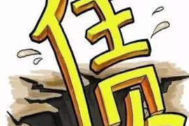 干催收攢50萬：揭秘高效催收技巧與成功案例