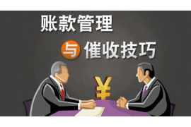 怎樣起訴閃電借款惡意催收：維權(quán)攻略與案例分析