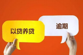 莫娜躲討債人技能卡點：揭秘債務危機中的生存技巧