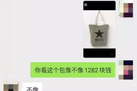 麗水蓮都討債人:揭秘討債行業(yè)的風云變幻 麗水蓮都討債人:揭秘討債行業(yè)的風云變幻