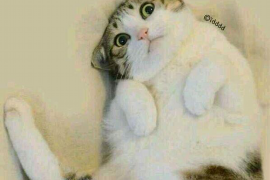 討債路上遇到不講理的人：如何應(yīng)對與解決