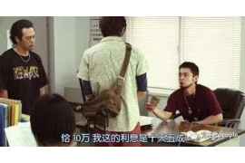 房租催收情況總結(jié)