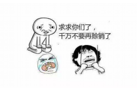 享樂花催收怎么樣？全面解析P2P平臺的催收現(xiàn)狀