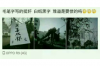 微粒貸怎樣催收:全面解析微粒貸的催收策略