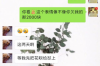 網貸怎么催收老賴：高效策略與法律途徑